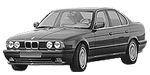 BMW E34 P1236 Fault Code