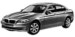 BMW F10 P1236 Fault Code